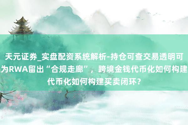 天元证券_实盘配资系统解析-持仓可查交易透明可靠 42号文为RWA留出“合规走廊”，跨境金钱代币化如何构建买卖闭环？