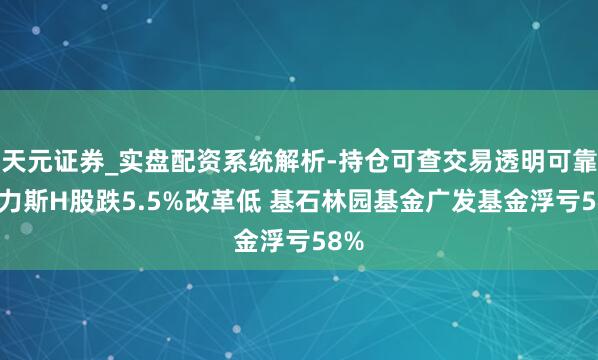 天元证券_实盘配资系统解析-持仓可查交易透明可靠 赛力斯H股跌5.5%改革低 基石林园基金广发基金浮亏58%