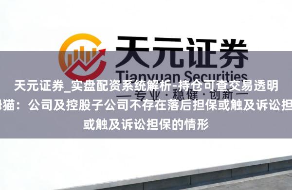 天元证券_实盘配资系统解析-持仓可查交易透明可靠 汤姆猫：公司及控股子公司不存在落后担保或触及诉讼担保的情形