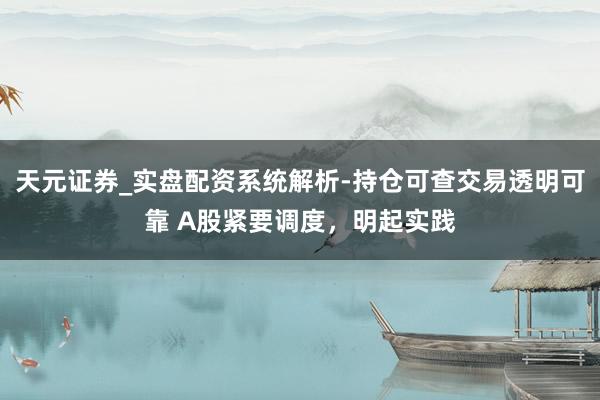 天元证券_实盘配资系统解析-持仓可查交易透明可靠 A股紧要调度，明起实践