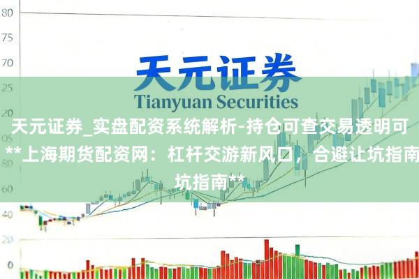 天元证券_实盘配资系统解析-持仓可查交易透明可靠 **上海期货配资网：杠杆交游新风口，合避让坑指南**