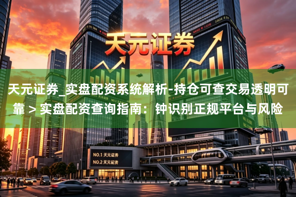 天元证券_实盘配资系统解析-持仓可查交易透明可靠 > 实盘配资查询指南：钟识别正规平台与风险