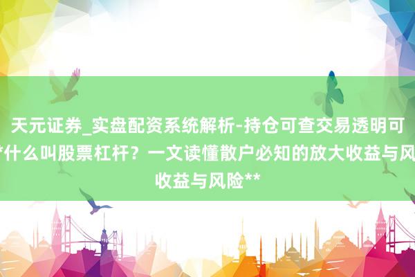 天元证券_实盘配资系统解析-持仓可查交易透明可靠 **什么叫股票杠杆？一文读懂散户必知的放大收益与风险**