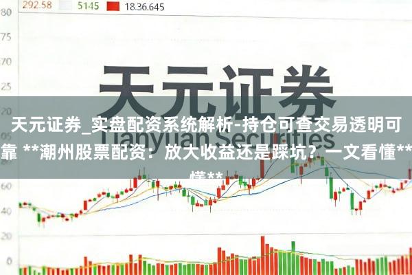 天元证券_实盘配资系统解析-持仓可查交易透明可靠 **潮州股票配资：放大收益还是踩坑？一文看懂**
